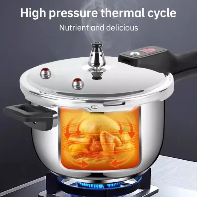 Stainless Steel Pressure Cooker